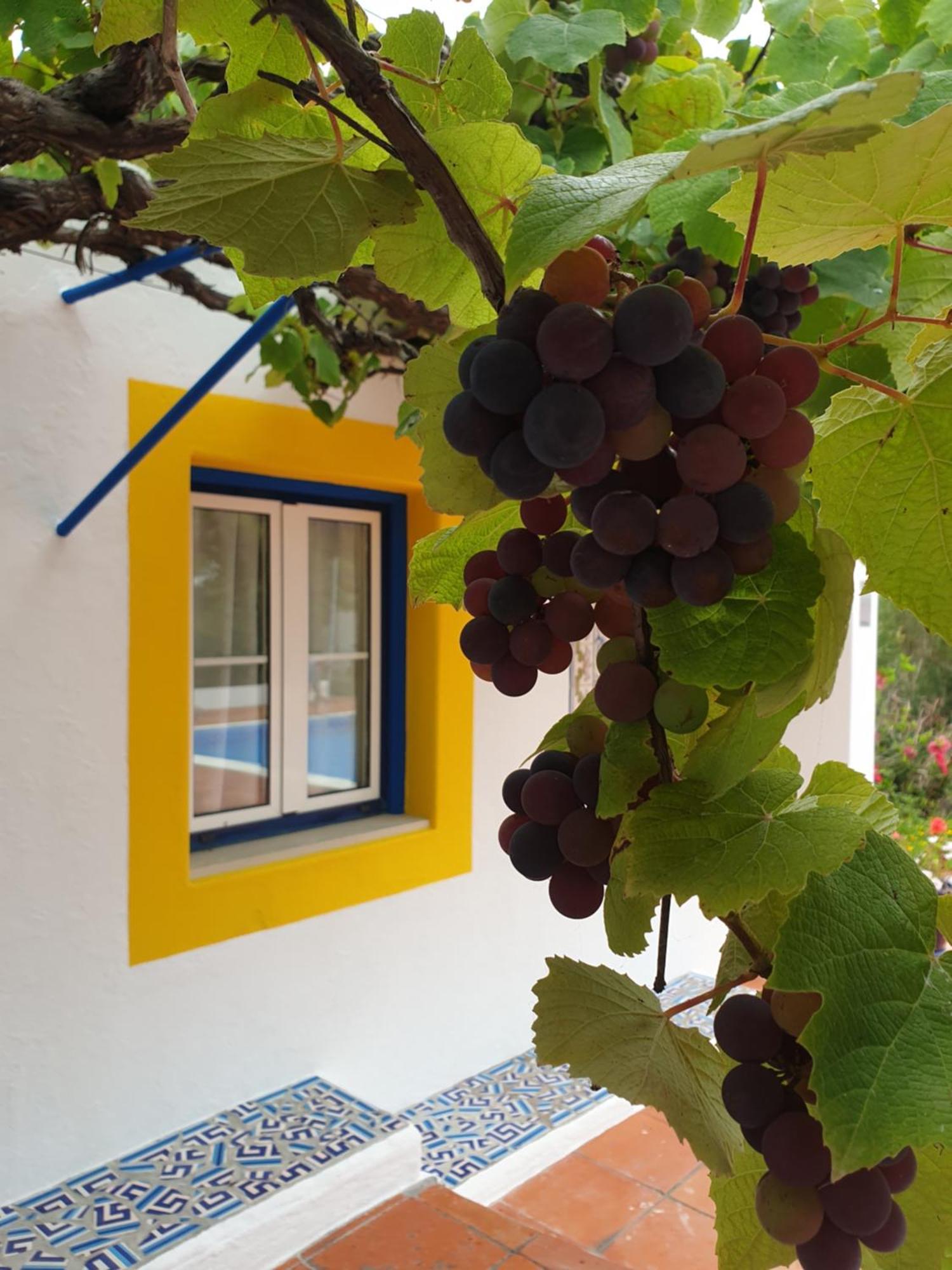 Sondela Self Catering Villa Sao Martinho do Porto Luaran gambar