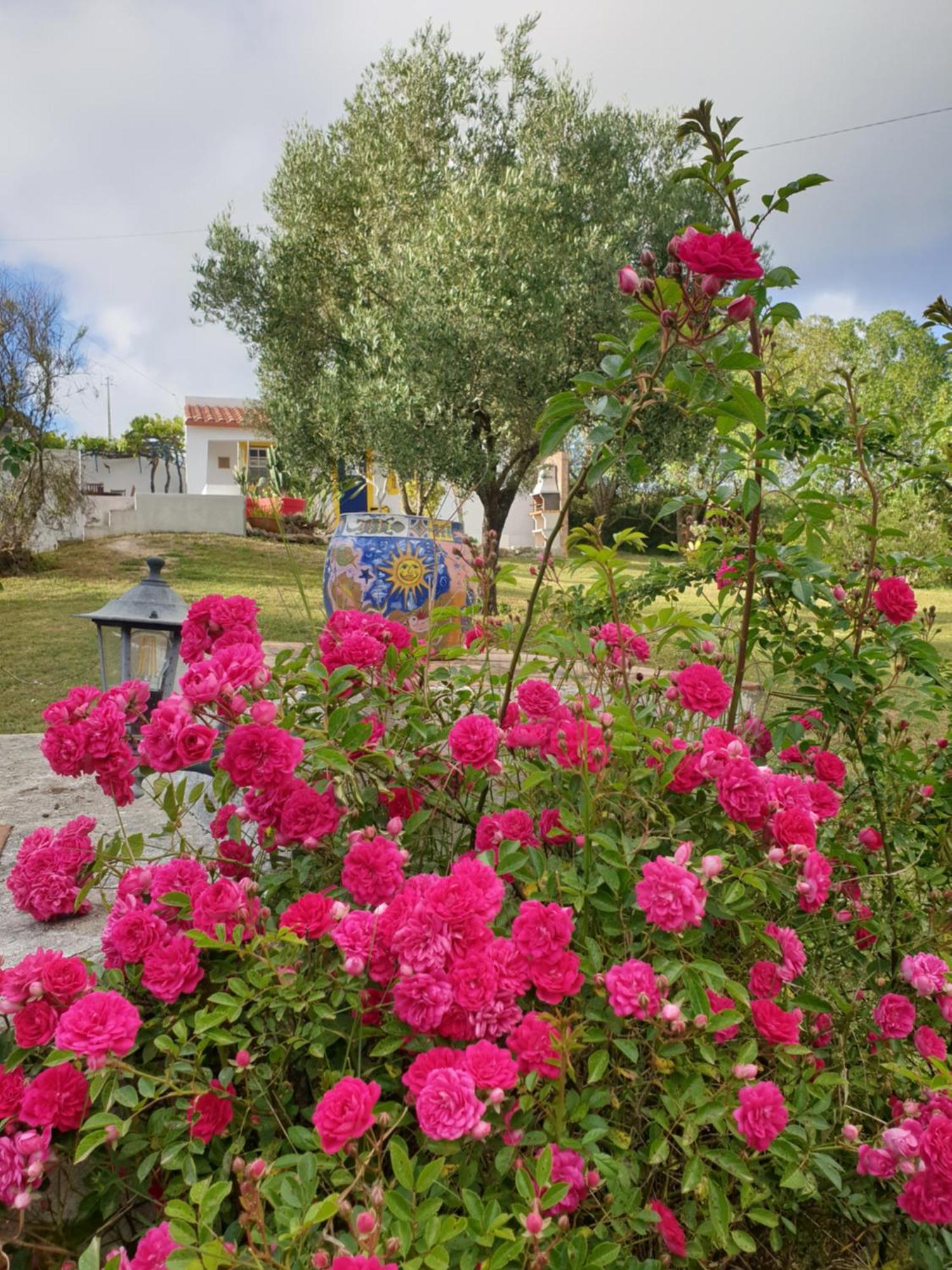 Sondela Self Catering Villa Sao Martinho do Porto Luaran gambar